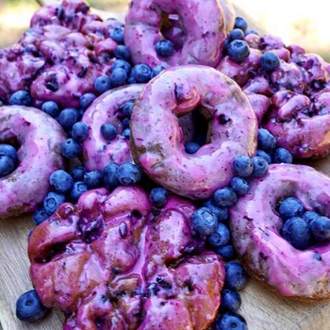 Mighty-O blueberry donuts and fritters